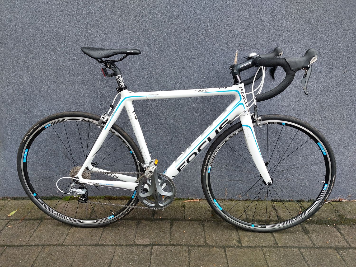 Focus  Cayo - Road - L