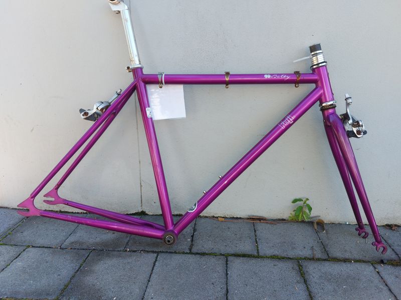 FUJI Betsy,  steel bike frame
