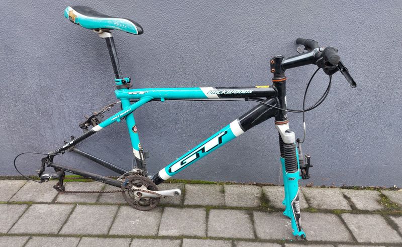 GT Backwoods  frame and forks