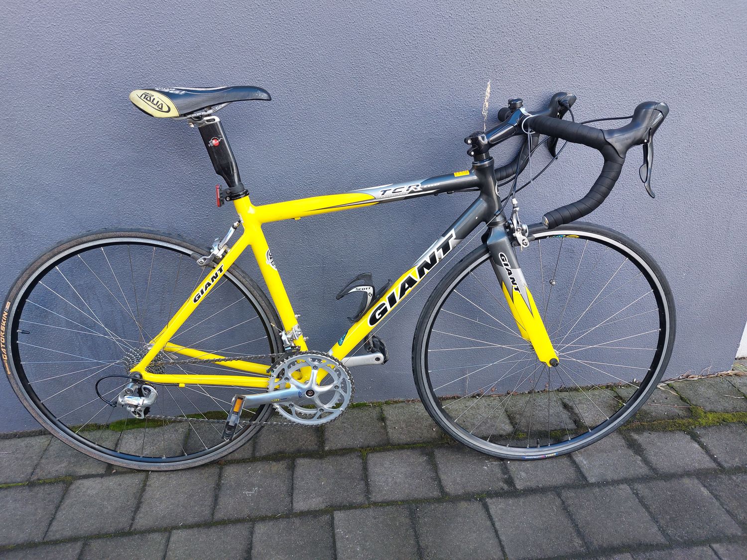 Giant  TCR - Road - M