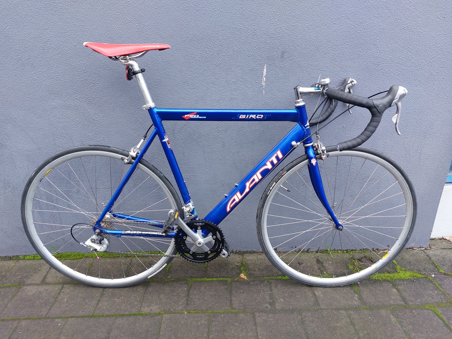 Avanti  Giro - Road - XL