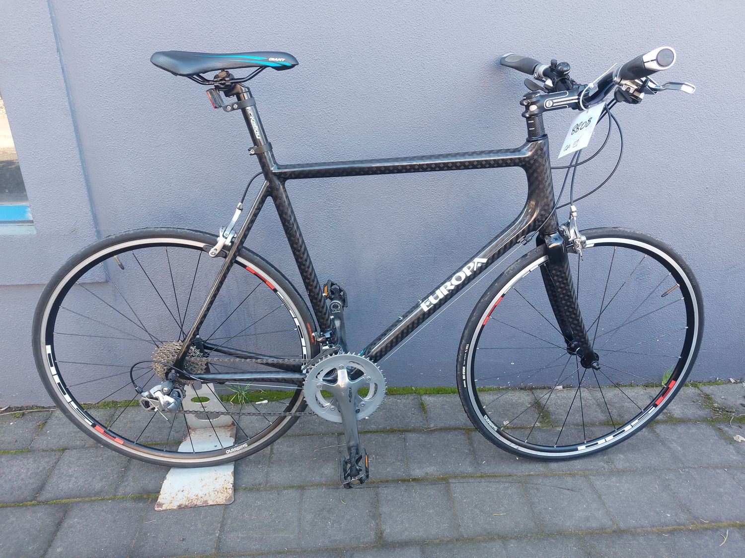 Europa   - Hybrid - XL