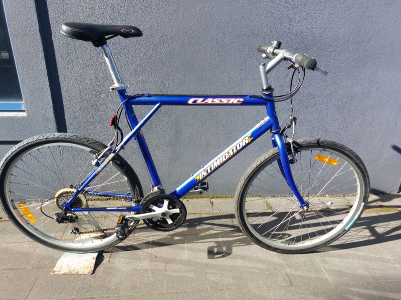 Classic  Intimidator - Commuter Bike - L