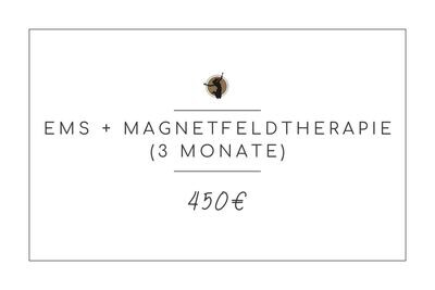 EMS + Magnetfeldtherapie (3 Monate)