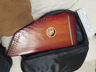 Therapy Harp Case