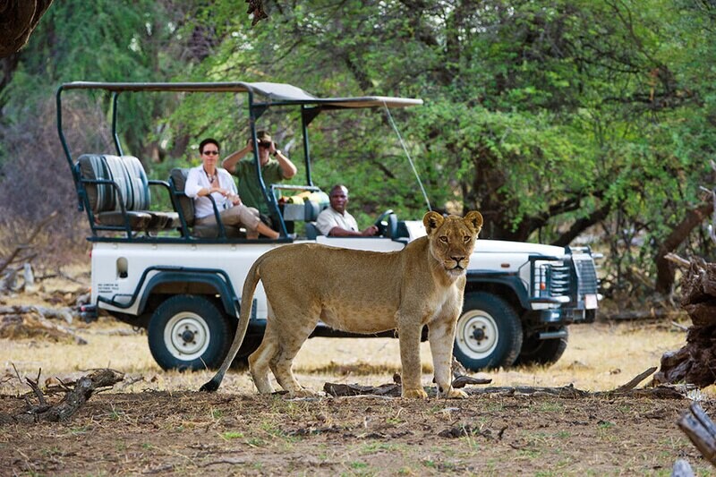 Chobe Day Trip (Botswana)