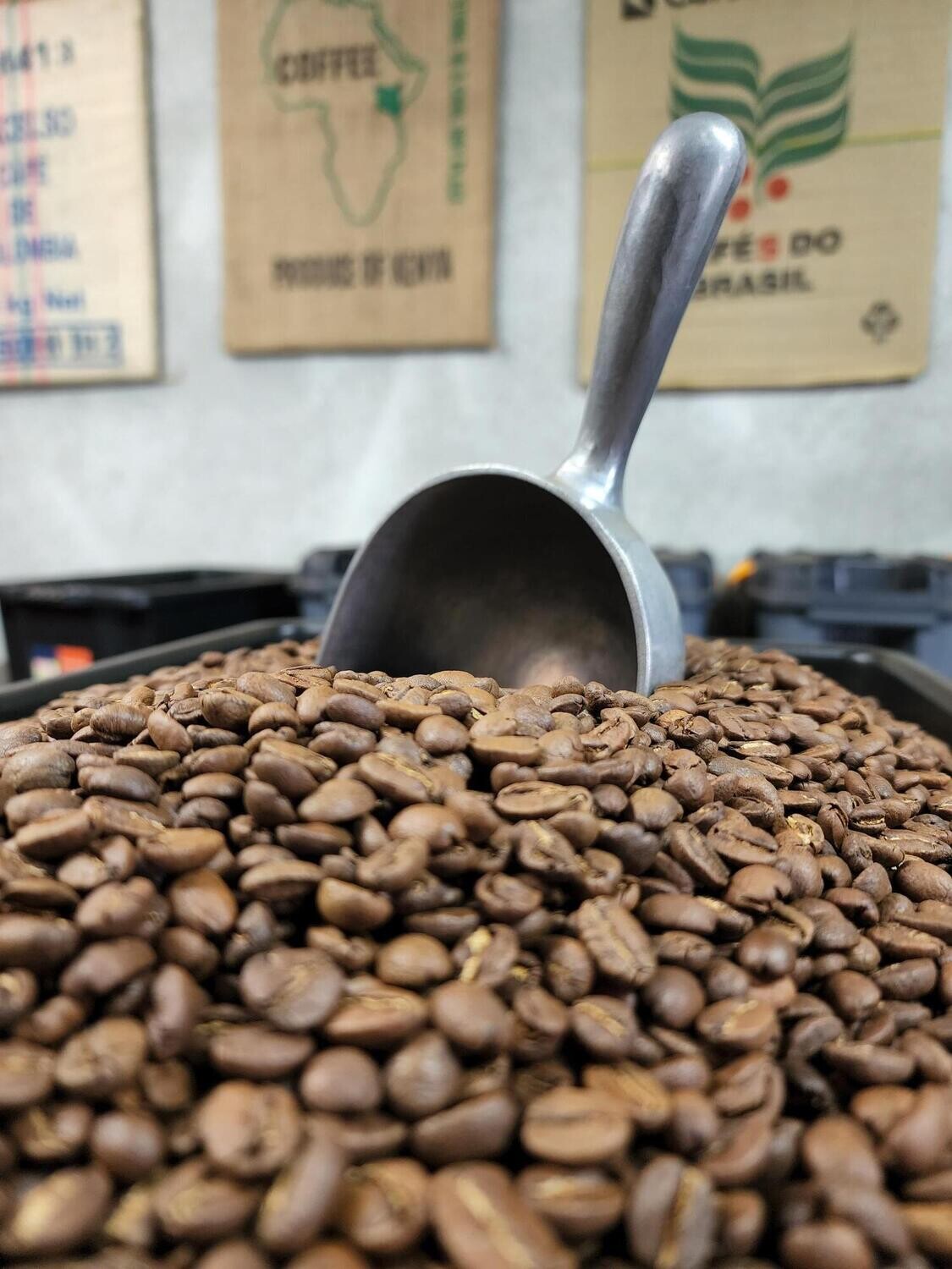 Redline Coffee Revolutions 500 gm