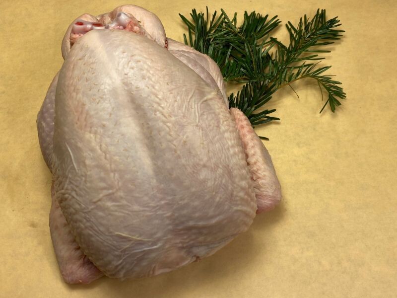 FREE RANGE Whole Birds