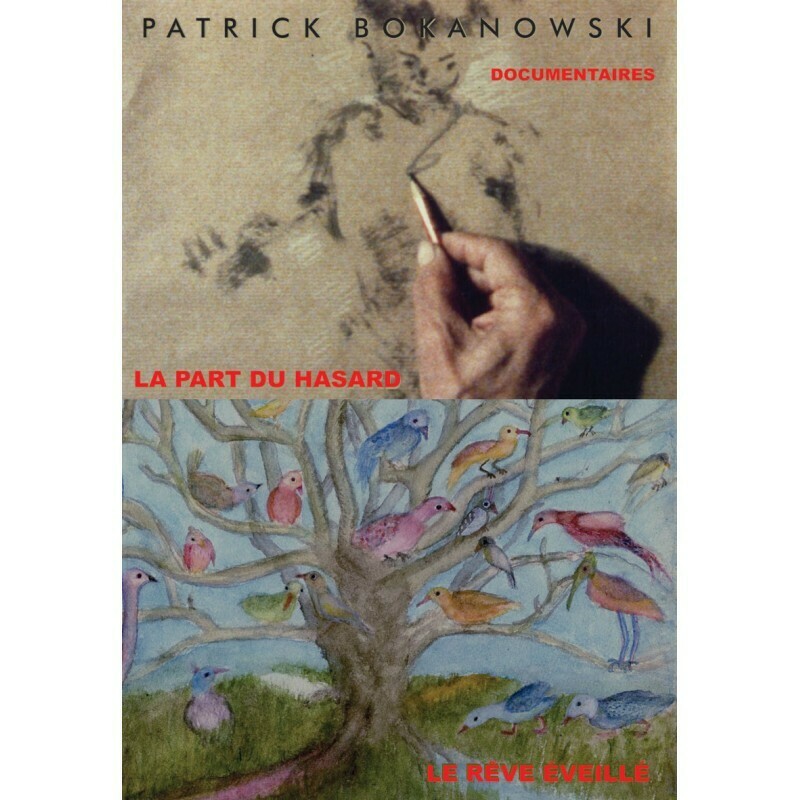 Patrick Bokanowski - Documentaires