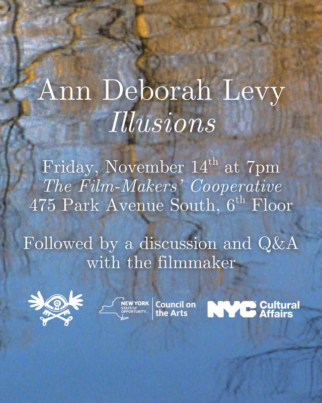 Ann Deborah Levy: Illusions