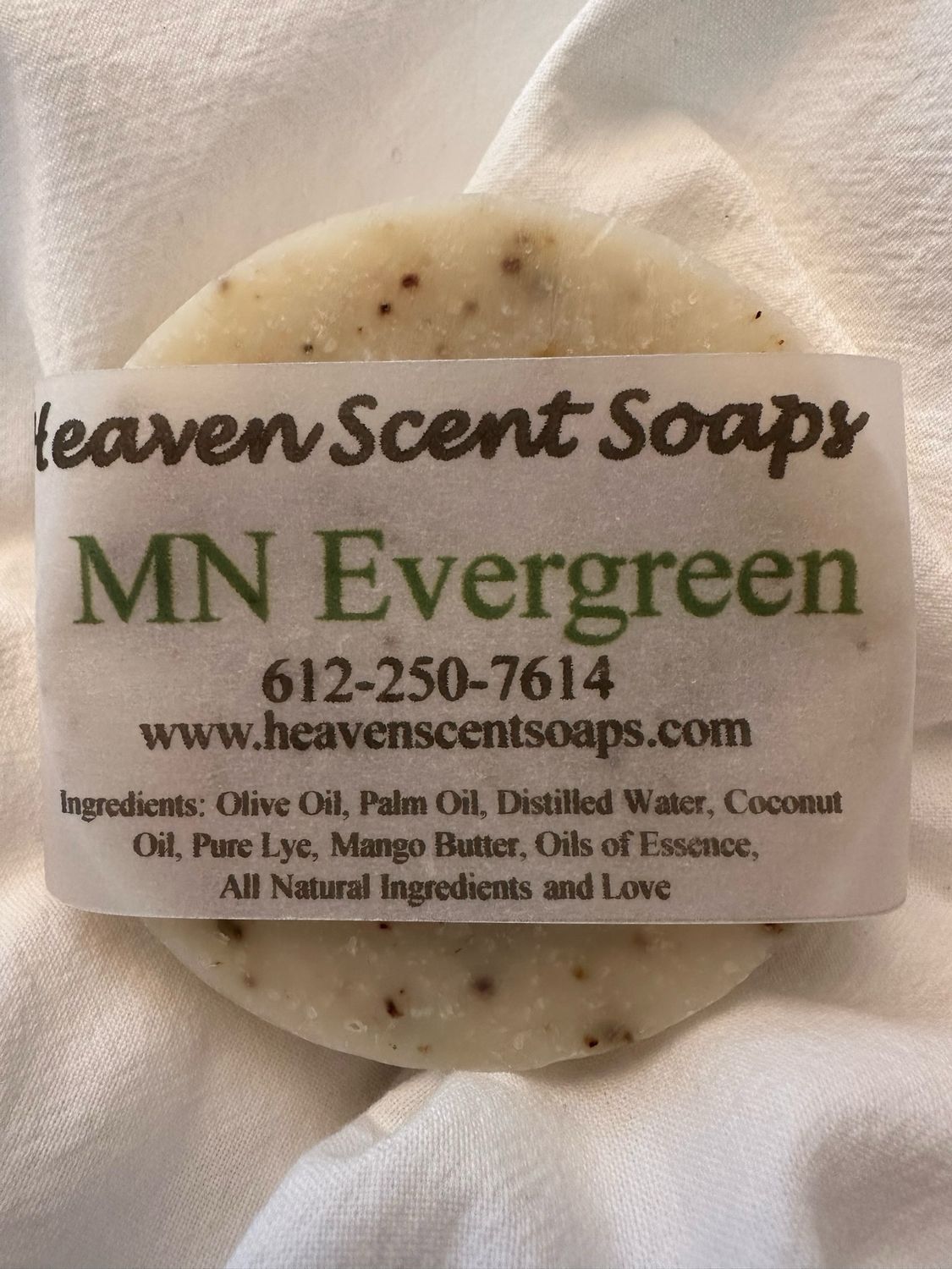 MINNESOTA EVERGREEN