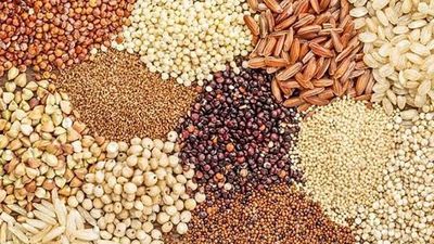 GRAINS (KORN)