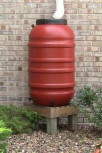 Rain Barrel