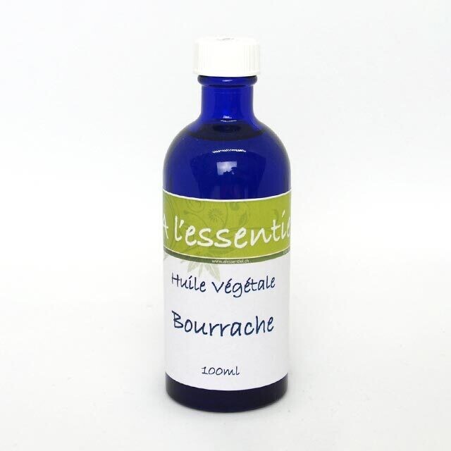 Bourrache