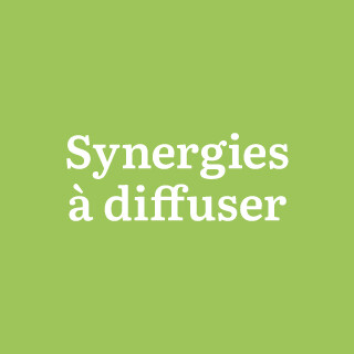 Synergies à diffuser