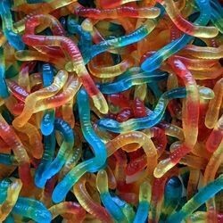 Vers LISSES 100gr
