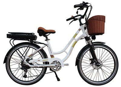Electric Bicycle Feng Qing JY-FQG