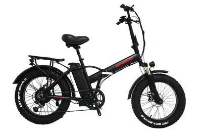 Electric Bicycle Saifei JY-SFE