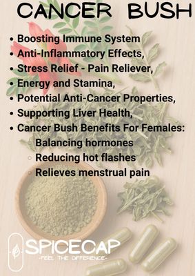 60 x Cancer Bush Capsules