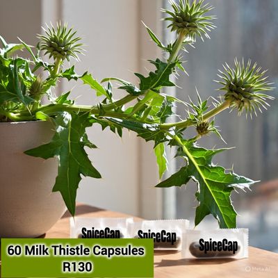 60 x Milk Thistle Capsules