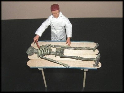 MADELMAN MDE. FORENSE CON COMPLEMENTOS. CRIMINOLOGÍA.  Con mesa, esqueleto y microscopio