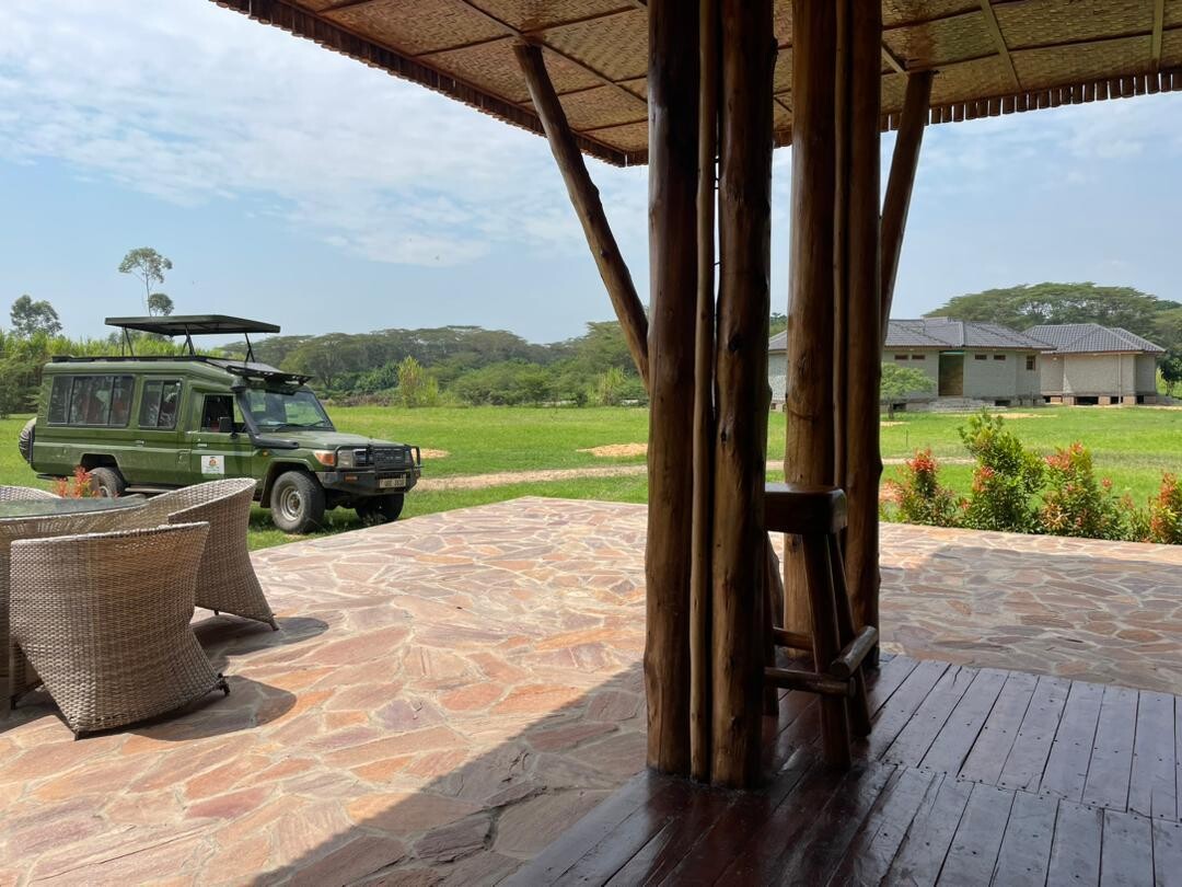 ​3-Day Gorilla Trekking &amp; Lion Game Drive Excursion