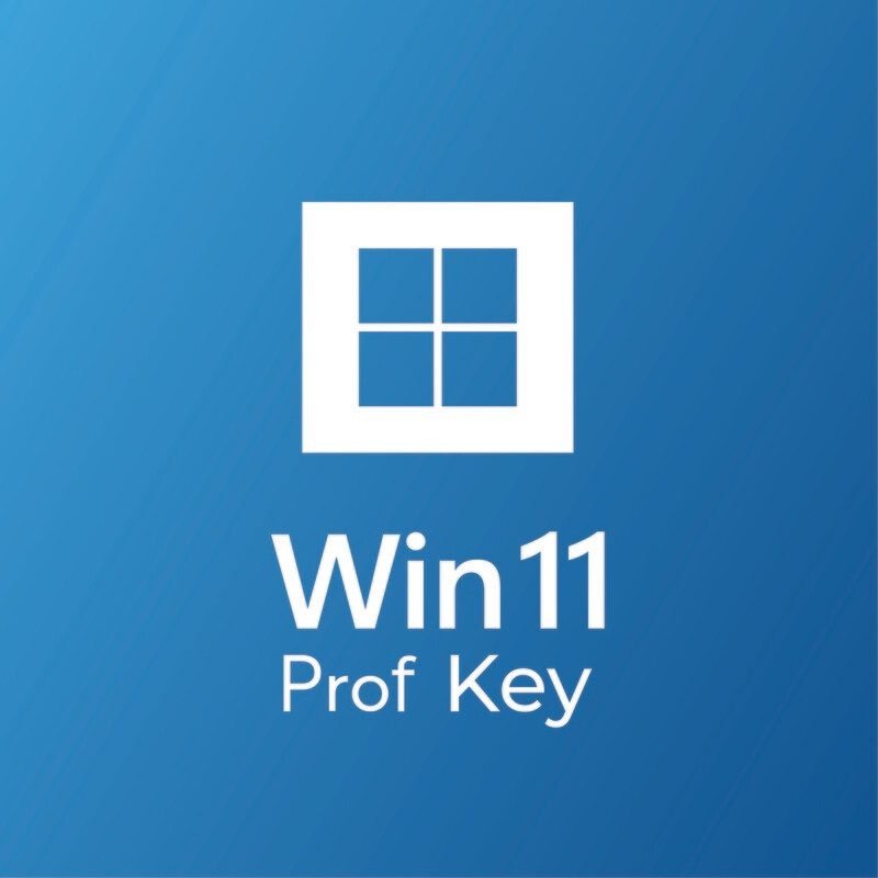 Window-11 Prof