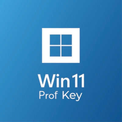 Window-11 Prof