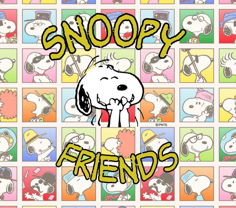 Snoopy Friends