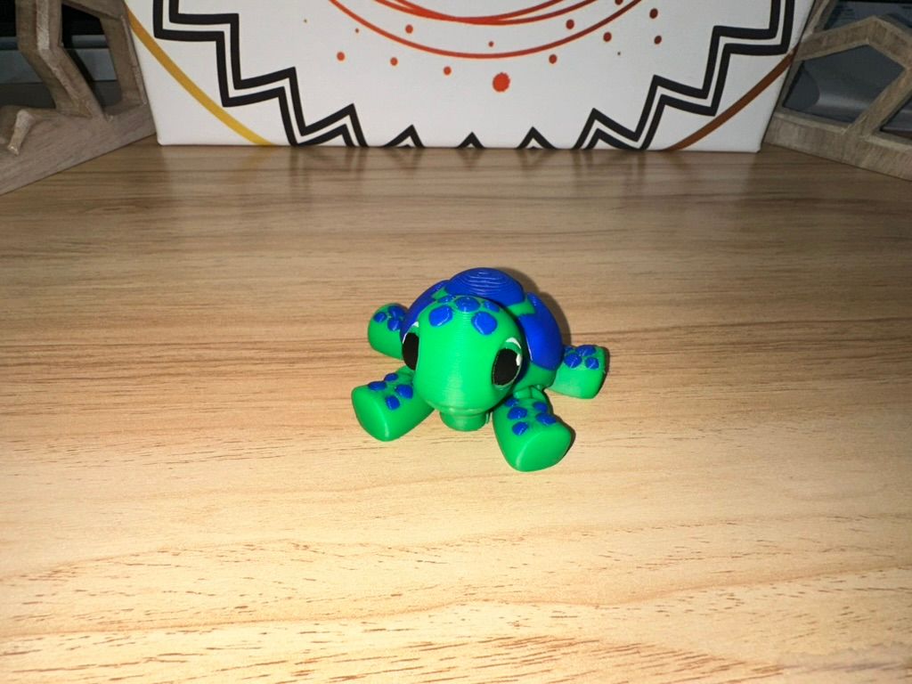 Just A Tortoise
