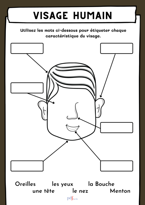 Visage humain