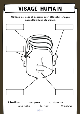 Visage humain
