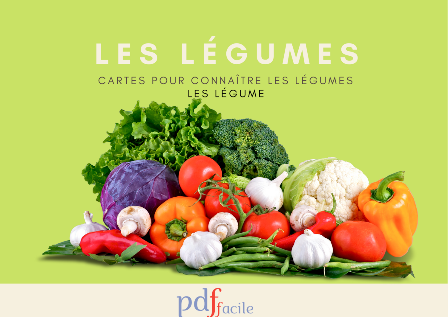 23 cartes pour découvrir les noms des légumes