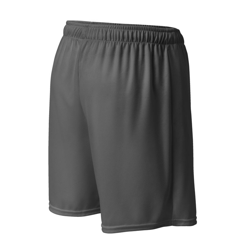 BASIC SHORTS #002-1