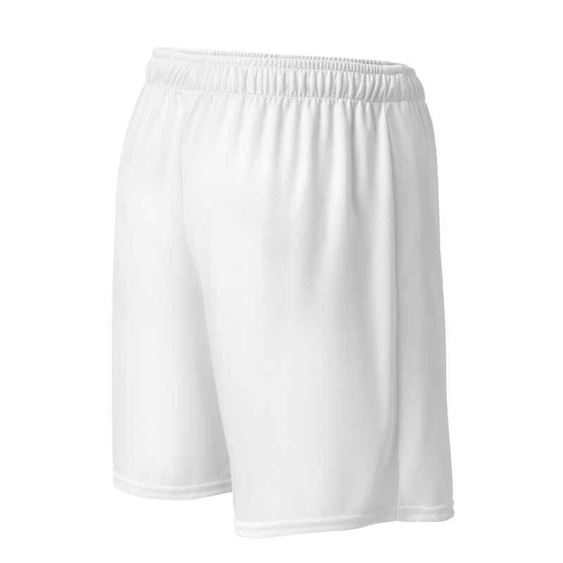 BASIC SHORTS #003