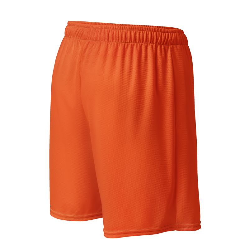 BASIC SHORTS #003-2