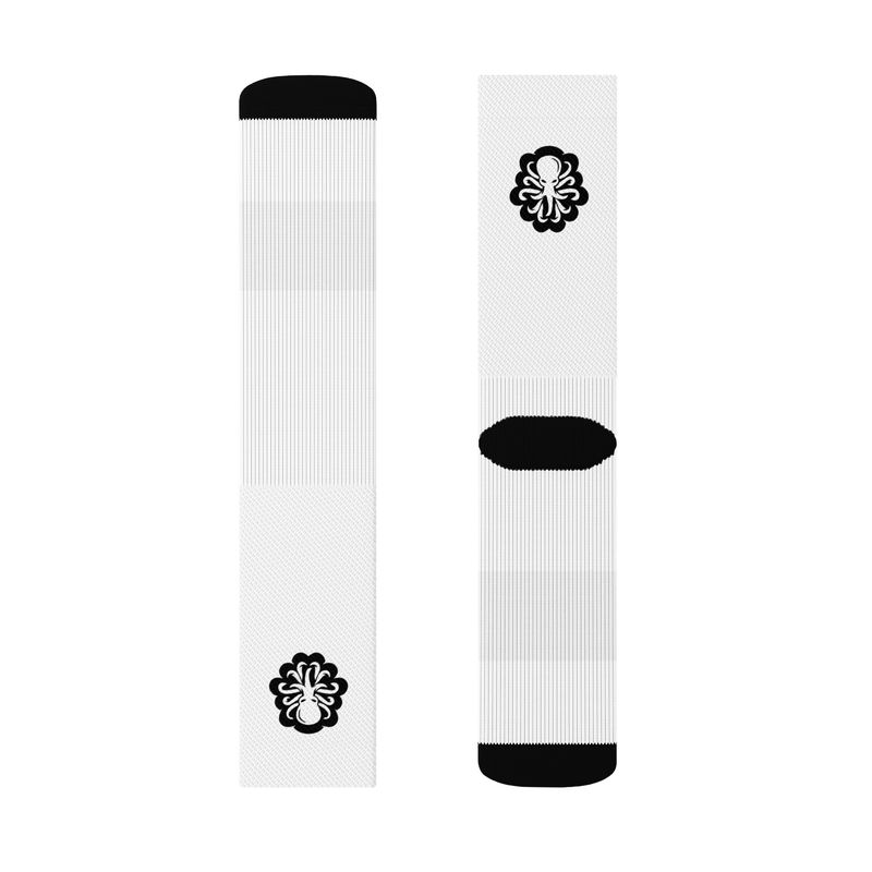 BASIC SOCKS #003