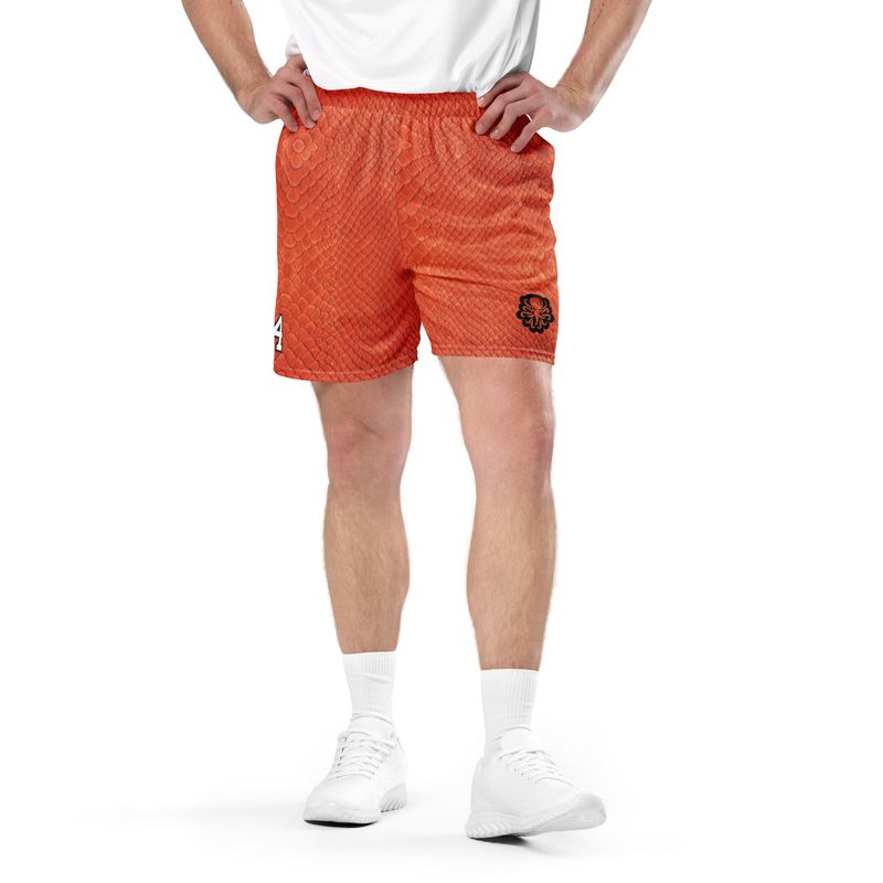 8-24 Basketball shorts Orange