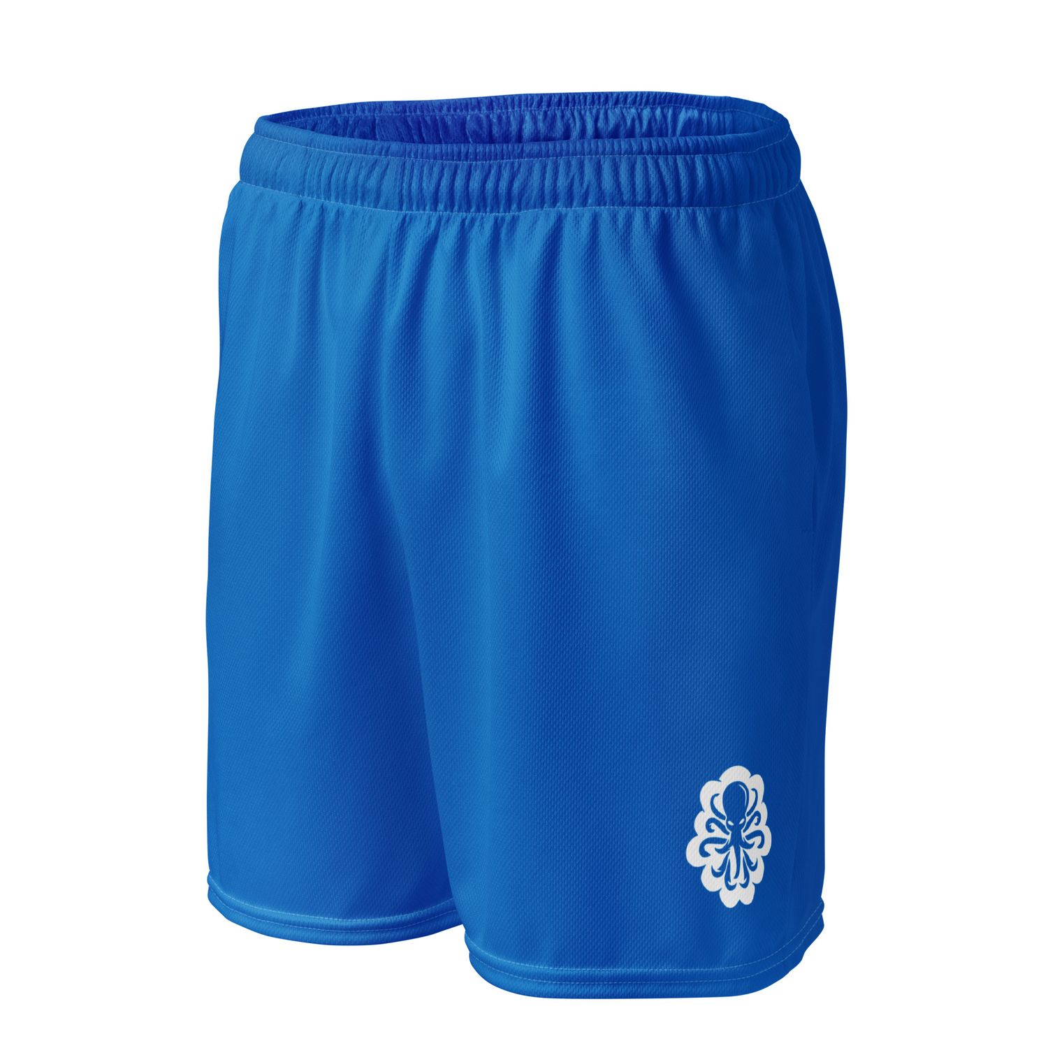 Basketball shorts Blue