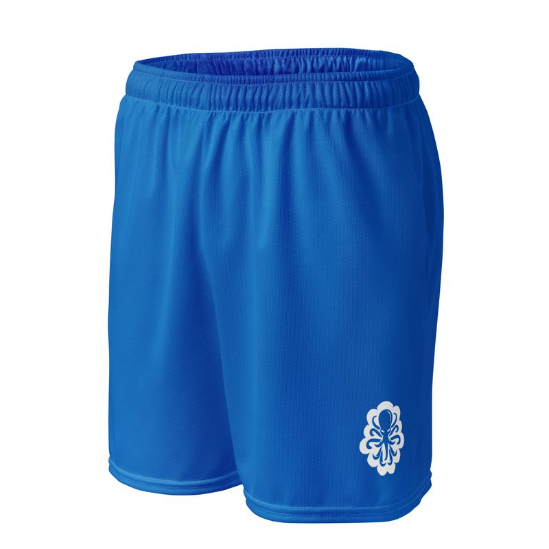 Basketball shorts Blue