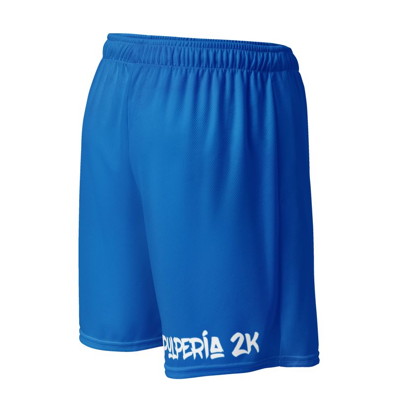 Basketball shorts Blue