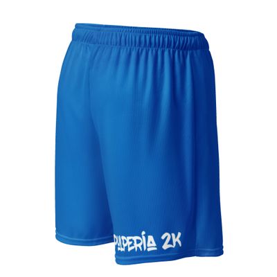 Basketball shorts Blue