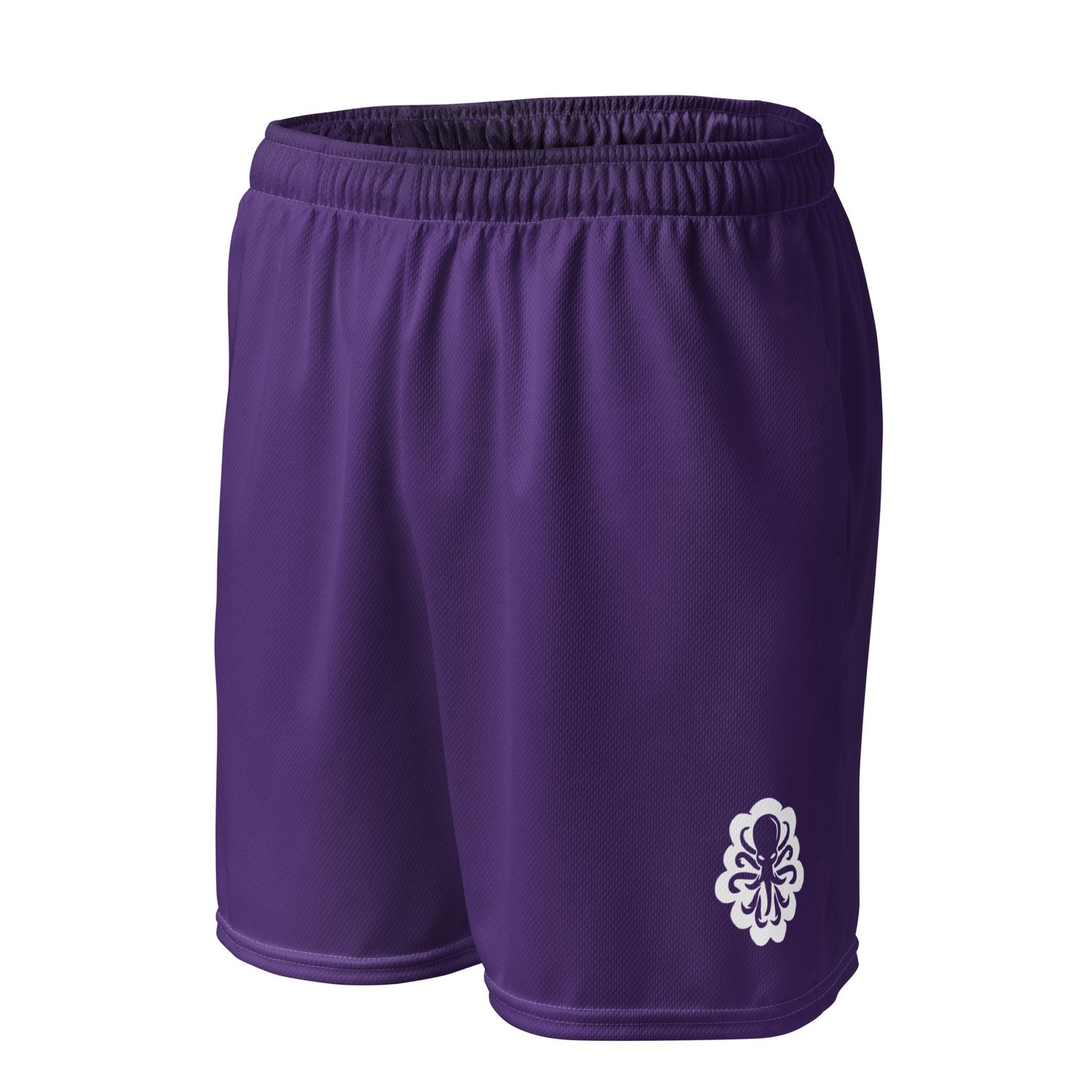 Basketball shorts Purple