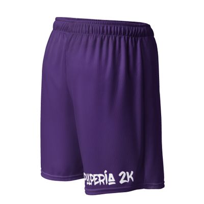 Basketball shorts Purple