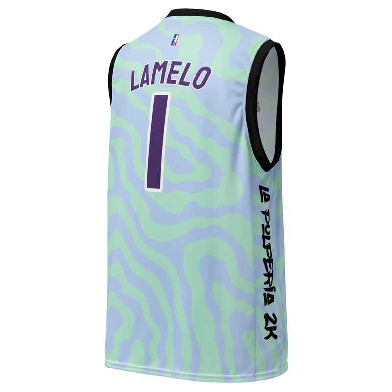 Charlotte basketball jersey
