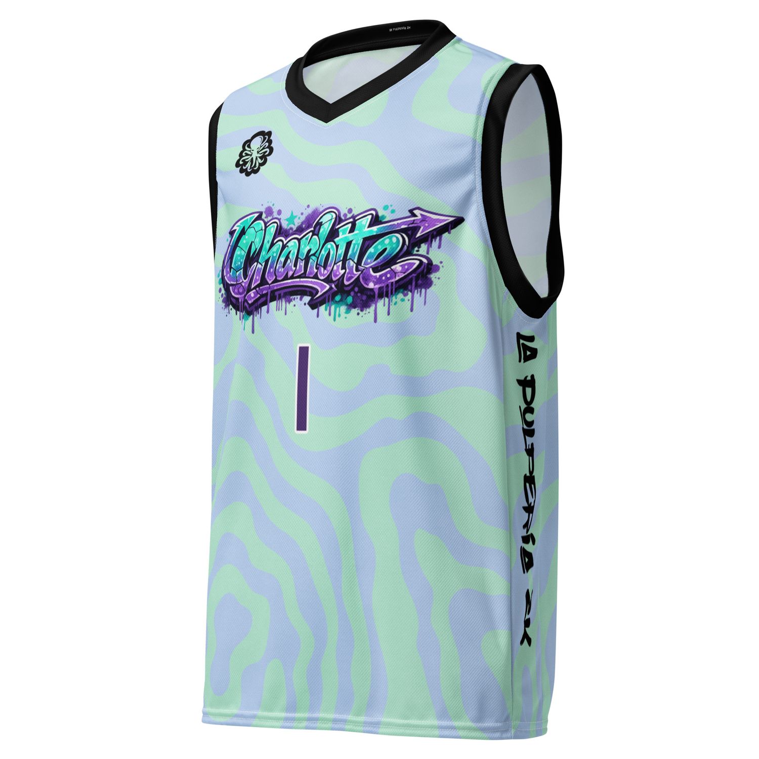 Charlotte basketball jersey