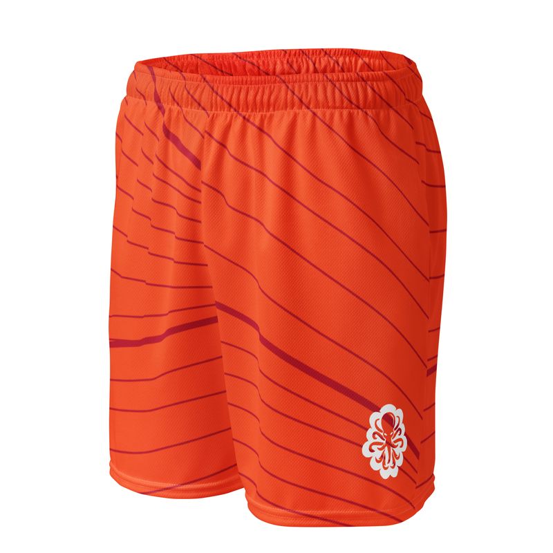 Basketball shorts Valencia