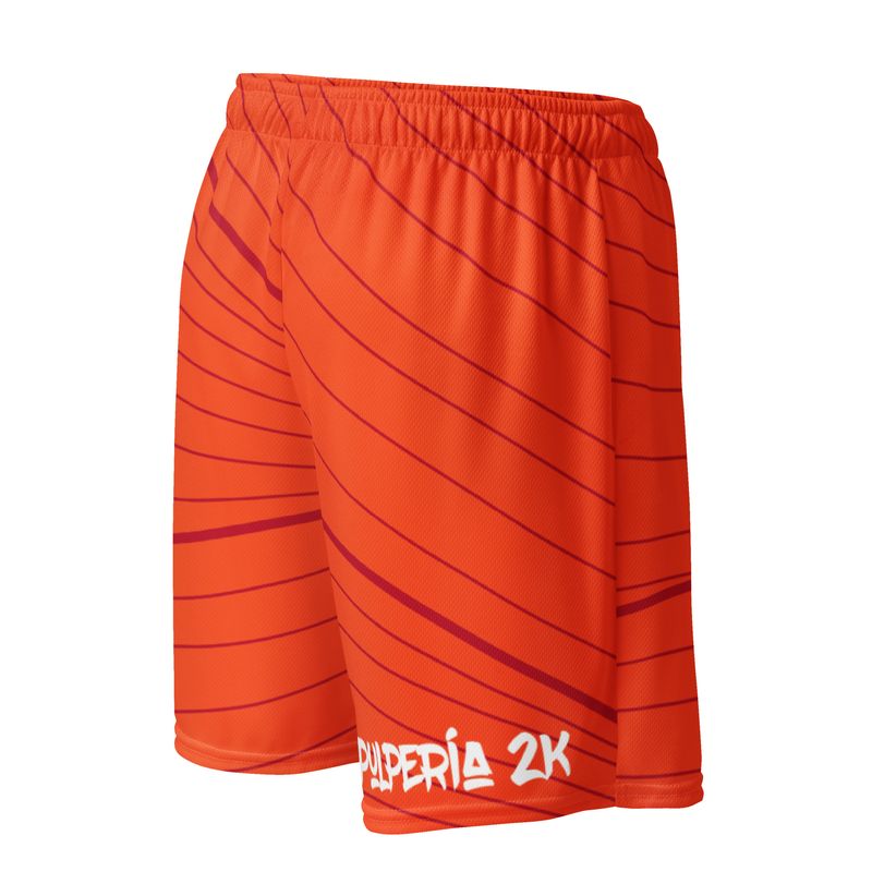 Basketball shorts Valencia