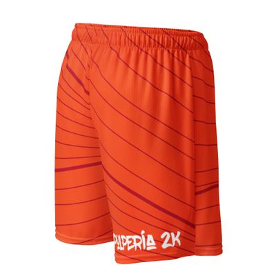 Basketball shorts Valencia