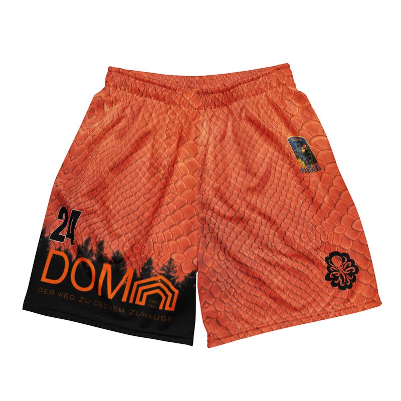 Young Panthers orange shorts 24